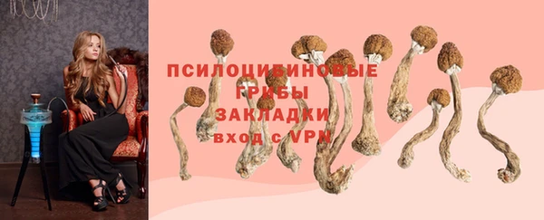 молекула духа Верея