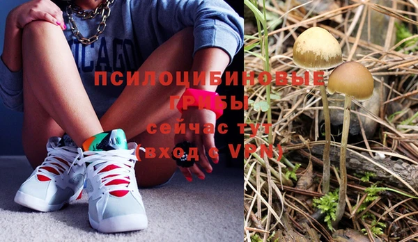 прущий лед Богородицк