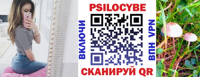 Галлюциногенные грибы прущие грибы  ОМГ ОМГ ONION  Волоколамск 