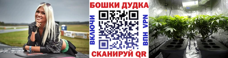 OMG маркетплейс  Волоколамск  Конопля план 